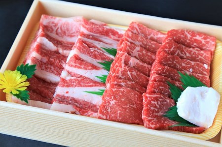 黒田庄和牛と七色の野菜バーベキューセット（モモ、バラ計500ｇ） 44-44