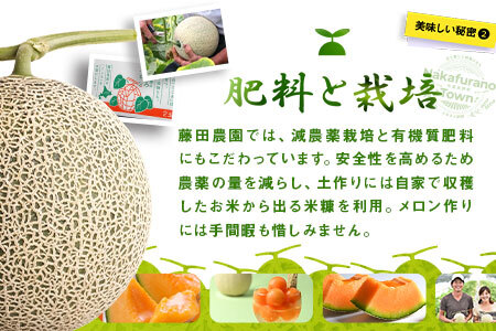 【2026年発送】ふらのメロンよくばりセット（赤肉・青肉）　2玉【AO-008】