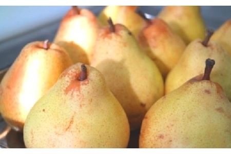 ［完全無添加・手作り］ジャムセット（いちご・洋梨・小豆）【AT-005】