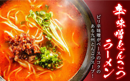 辛ラーメン2種食べ比べ 計5食 [SAQ001] ラーメン