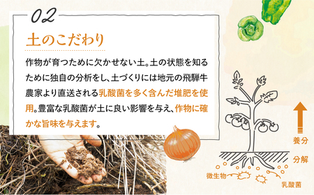 《先行受付 令和8年産》野菜3回定期便 無農薬栽培  6～7品 
