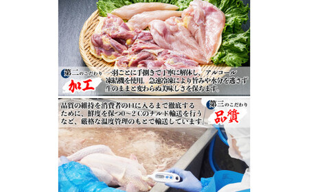 A-137 黒さつま鶏しゃぶしゃぶセット(2～3人前)【カゴシマバンズ】霧島市 鶏肉 鳥肉 お鍋