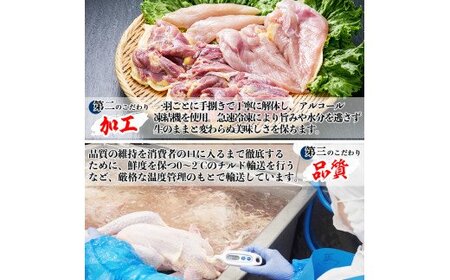 B-095 黒さつま鶏しゃぶしゃぶセット(4～5人前)【カゴシマバンズ】霧島市 国産 鶏肉 鳥肉 鶏白湯スープ 鍋