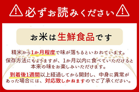 山形県産 雪若丸 無洗米 10kg 2kg×5袋 令和7年産 2025年産 ブランド米 米 国産 単一原料米 山形 庄内平野