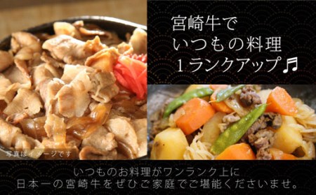 牛肉 宮崎牛 小間切れ 200g 5p 計1kg [マルミヤストア 宮崎県 美郷町 31ag0108]
