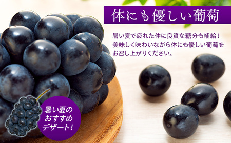ぶどう 皮ごと食べられる 黒ぶどう ナガノパープル 約2kg フルーツ ※クレジット限定