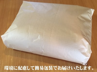 【浅井ふとん店】イス専用座布団『台形ちゃん』/オレンジ