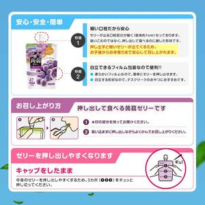 オリヒロ ぷるんと蒟蒻ゼリー スタンディング ＜3種セット＞ 計48個(16個×3種) こんにゃく ゼリー 詰合せ セット 食べ比べ 蒟蒻 コンニャク マスカット ピーチ グレープ 食品 F21E-474