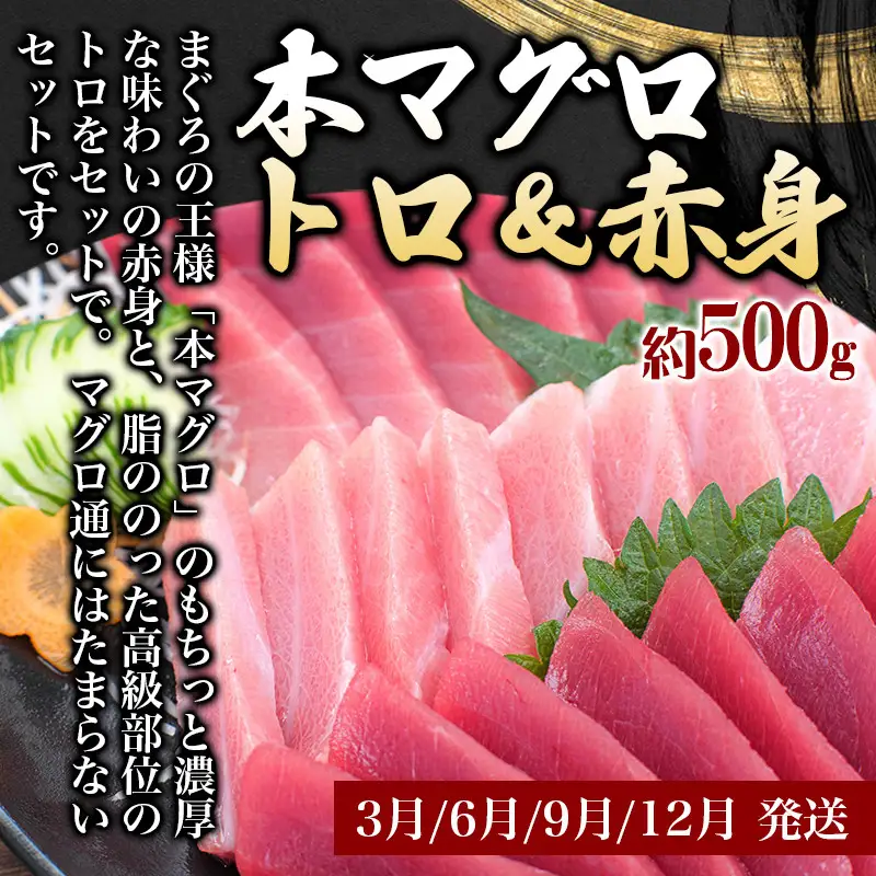 定期便 まんぞく定期便 うなぎ ･ 高級和牛 ･ マグロ【tkb104】