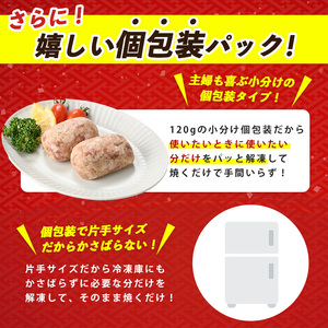 特製 黒豚 ハンバーグ 120g×10個 生 ハンバーグ 岡村商店 IB024-023 ハンバーグ