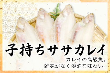 ノドグロ・笹カレイセット【のどぐろ一夜干し かれい一夜干し 干物セット のどぐろ干物 2尾 1尾あたり120～140g 笹カレイ干物 4尾 1尾あたり50～60g 島根県産 大田市産 ノドグロ 笹カレイ カレイ 干物 真空パック 冷凍】