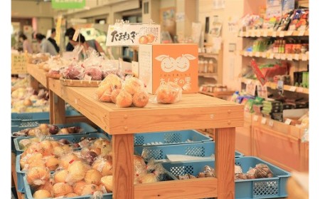 【3ヶ月定期便】穫れたて!冬野菜・果物定期便（1～3月）★あんずの里[H7005]