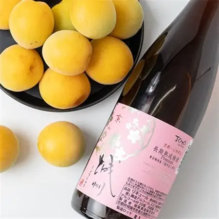 長期熟成梅酒 城州　premium　720ml_酒・アルコール 梅酒  _【1091704】