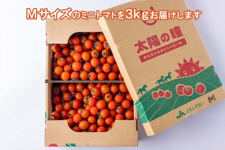 ＜ 9/15までの受付 ＞ 北海道産 ミニトマト 太陽の瞳 M サイズ 3kg 新ひだか町