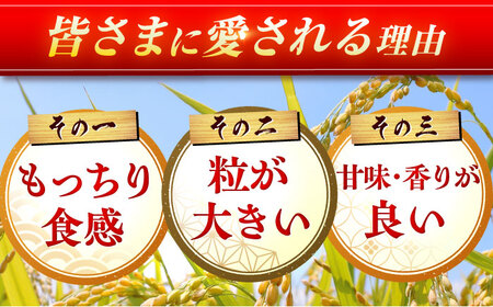 【5kg×3回定期便】【令和7年産】さがびより 計15kg（5kg×3回）吉野ヶ里町/増田米穀  [FBM002]
