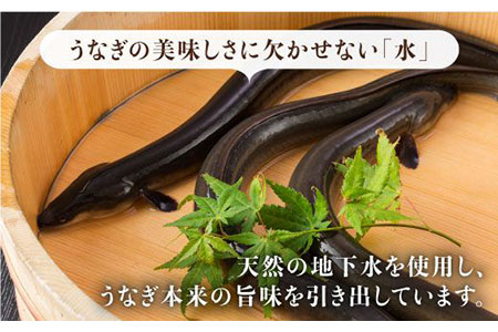 【6回定期便】国産うなぎ蒲焼 3枚セット [FAD007]