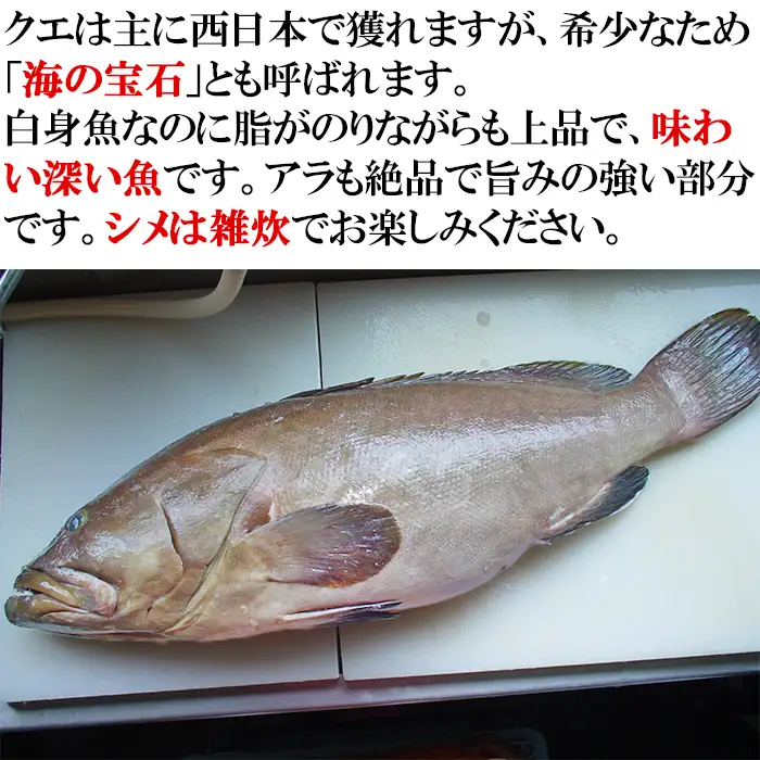 【冷凍】大分水産の豊後とらふぐ鍋&高級魚くえ鍋の味比べセット6人前（白子付） 海鮮 ＜104-032＞