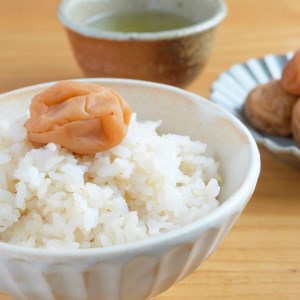 【0589-3】はちみつ梅干し〔贈答・ギフト用〕個包装 12粒（大粒4L）