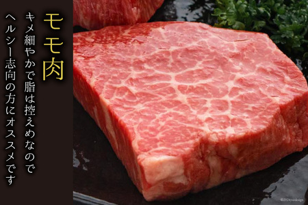 【宮崎牛】 赤身 ステーキ 100g×2 計200g [マルミヤストア 宮崎県 美郷町 31ag0102]