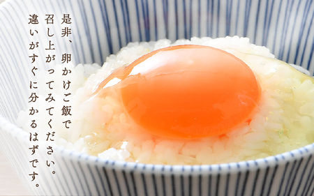 濃厚で甘くておいしい！ 福井ブランド「福地鶏」の卵 30個 ／ 卵 たまご 鶏卵 生卵 有精卵 高級 高級卵 福地鶏 鶏 平飼い 美味しい こだわり 卵かけご飯 料理 あわら市 福井県産 [aw036-a001]