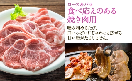 定期便 6ヶ月連続 全6回 Takahashi Farm 4種の豚肉とウインナー 2.6kgセット 焼肉用 ロース バラ 各500g 豚肉スライス ロース バラ 各500g ウインナー 300g×2袋 岐阜県産 精肉 国産 お鍋 料理 人気 お取り寄せ ご褒美 自家用 送料無料 岐阜県 揖斐川町