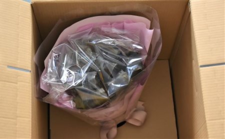 昆布の花束 浦河喜コンブーケ(ミニ)50cmx10本[23-555]