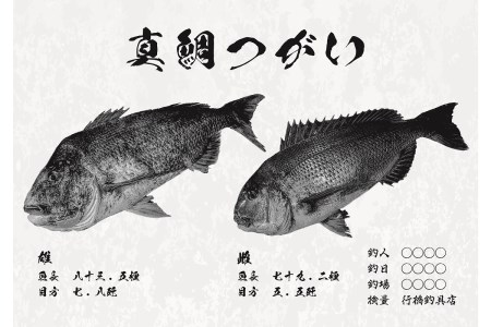 CM-017 【長尺・デジタル魚拓】メモリアルフィッシュを釣れたてのままに。