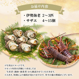 海鮮セット 活伊勢海老＆サザエ Aセット 活き伊勢海老 2～3匹 活サザエ 4～15匹 水産