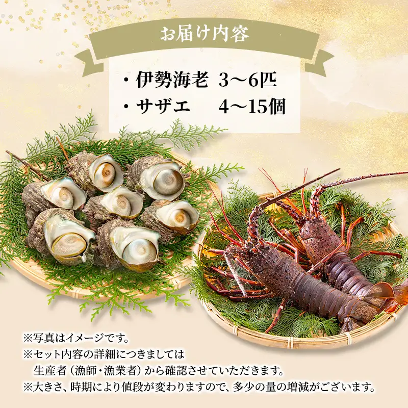 活 伊勢海老 サザエ セット B 10月～5月中旬出荷予定 獲れたて 活伊勢えび 3～6匹 活サザエ 4～15個 伊勢えび 伊勢エビ さざえ 海老 えび エビ 貝 魚介 魚介類 海鮮 海鮮セット 冷蔵 静岡 静岡県 