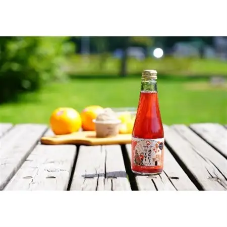 帯広ビーツサイダー　12本セット_飲料・ドリンク 炭酸飲料 ジュース _【1205193】