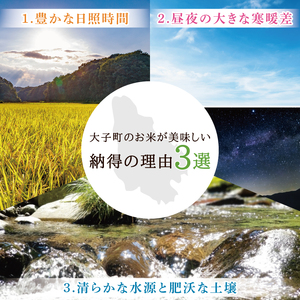 令和7年産　常陸農協の大子町産コシヒカリ10kg｜茨城県 大子町 お米 白米 精米 こしひかり ふっくら もっちり コンテスト受賞（AH003-2）