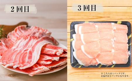 【定期便】畜産王国鹿児島の黒豚満喫コース 至高のだし付き（全5回） お肉 定期便 国産 鹿児島県産 豚肉 黒豚 しゃぶしゃぶ とんかつ 焼肉 切り落とし セット 毎月 食べ比べ 冷凍 南さつま市