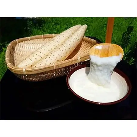 【青森県五戸町特産】長芋　5kg【配送不可地域：離島・沖縄県】【1017942】