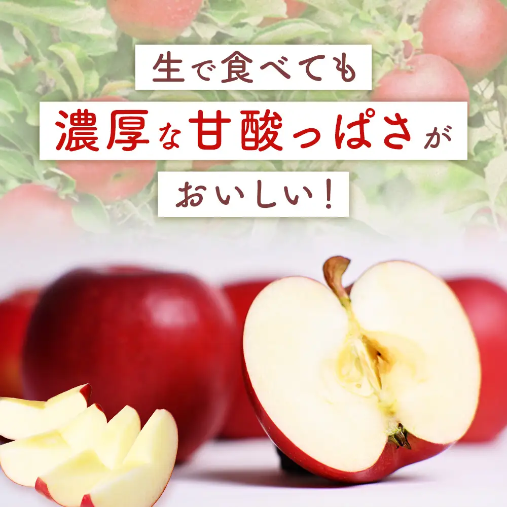 青森県産りんご 紅玉 約4.5kg りんご 10月～