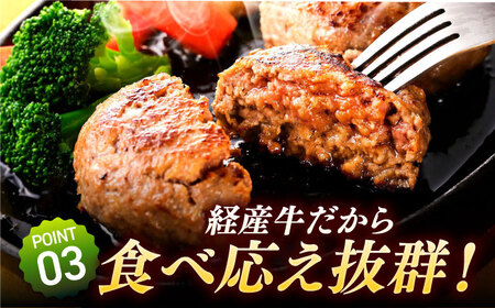 肉厚ジューシーハンバーグ（140g×8個）/ ハンバーグ [IAX001]