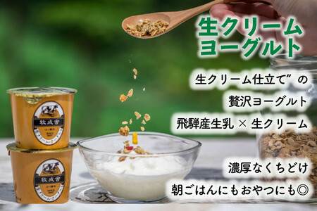 【飛騨乳製品バラエティセット】牛乳・ヨーグルト・チーズ詰め合わせ　11点｜ヨーグルト 乳製品 デザート 朝食 セット 詰合せ 牧成舎 DF010