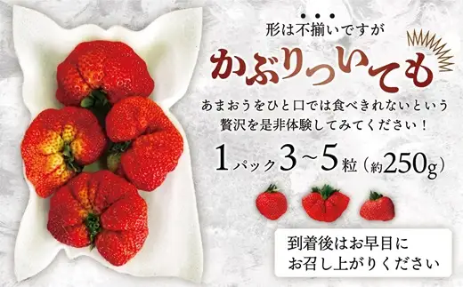 【2027年2月より順次発送】★大玉規格★博多あまおう4パック 約1kg[H2244]