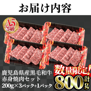 ＜数量限定＞ 鹿児島県産 黒毛和牛 A5 等級 赤身 焼肉 セット 合計800g(200g×4パック)  牛肉 モモ ウデ【LRプラスK】A227-v02