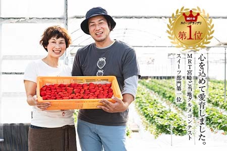 グランプリ受賞 数量限定 冷凍いちご シロップ付 計1kg+170g 【まるまるタイプ】 果物 くだもの フルーツ 苺 国産 自家製 スムージー イチゴジャム おやつ デザート 詰め合わせ 小分け 産地直送 おすそ分け 贈り物 ギフト 宮崎県 日南市 送料無料_BAV3-24