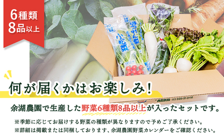 北海道産季節の野菜詰め合わせ 6種類8品【31000502】