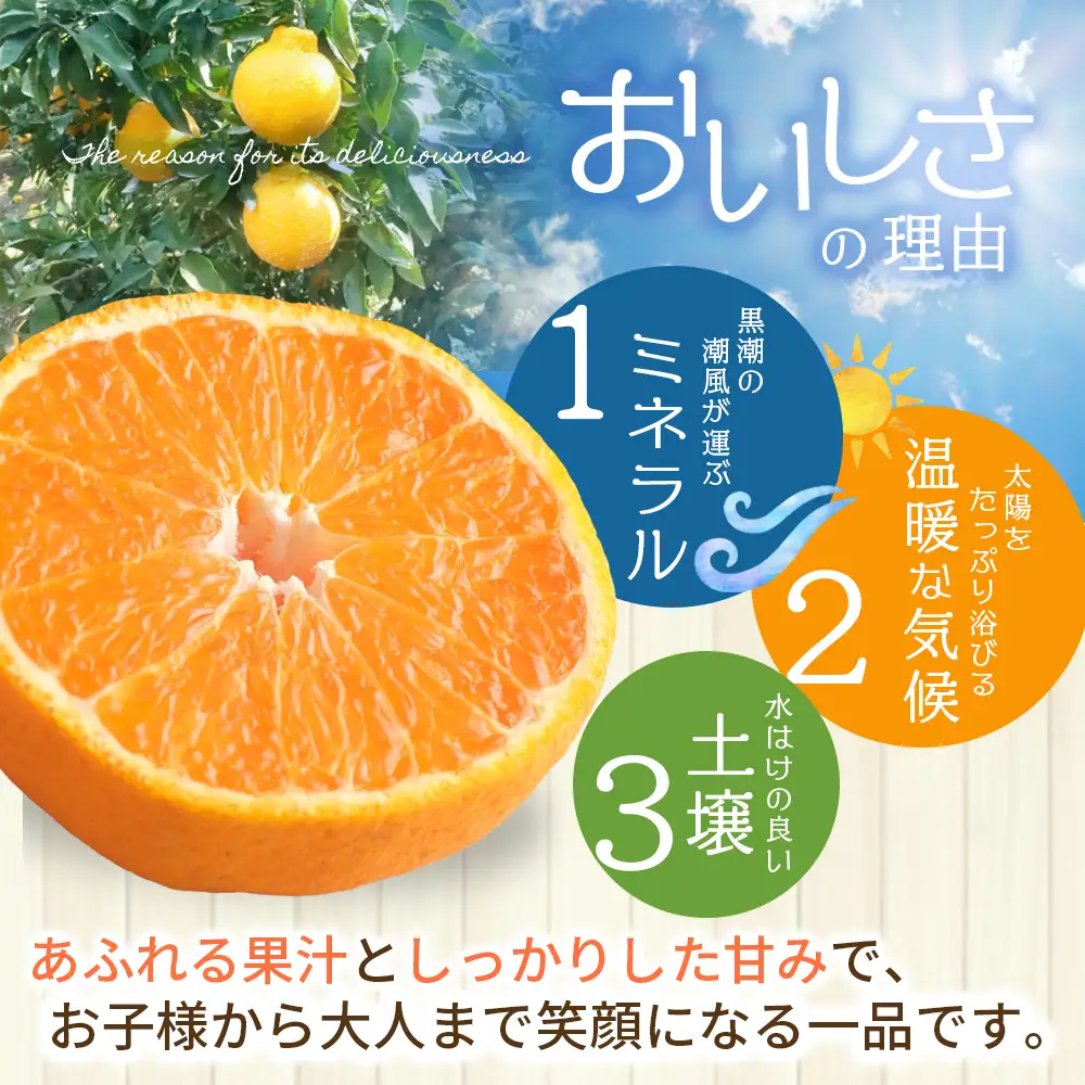 不知火 仲森農園の完熟不知火 5kg【nkmr0003】