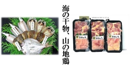 くまの直送便「海の干物、山の地鶏セット」【ongj-tkb0001】
