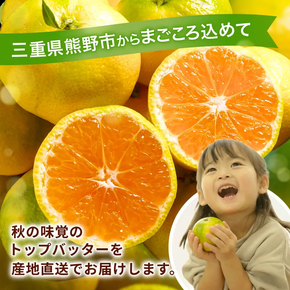 みかん 極早生温州みかん 10㎏【knpr0013A】