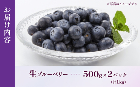 無農薬 ブルーベリー 生果 1kg ベリー【mnak0001A】