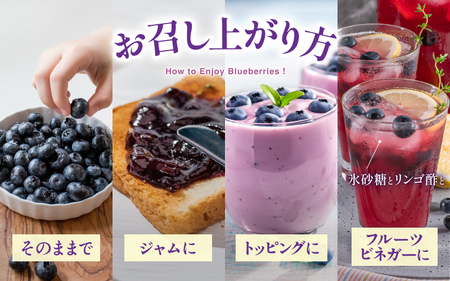 無農薬 ブルーベリー 冷凍 1kg ベリー【mnak0002A】