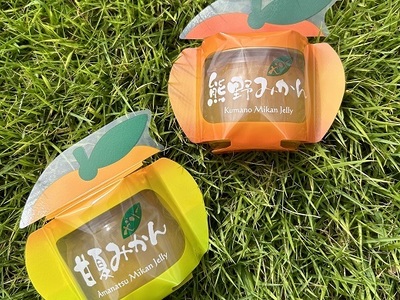 ゼリー 熊野みかん&甘夏みかんゼリー 6個 詰め合わせ 化粧箱 | みかん ミカン 国産 フルーツゼリー デザート シャーベット スイーツ フルーツ 果物 くだもの おやつ 人気 おすすめ 三重県 熊野市【kmkn0073】