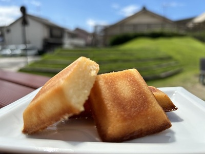 第27回全国菓子大博覧会・三重褒賞にて優秀金菓賞！【zakuフィナンシェ8個入り】2箱　大人のおいしさ【kmkn0094】