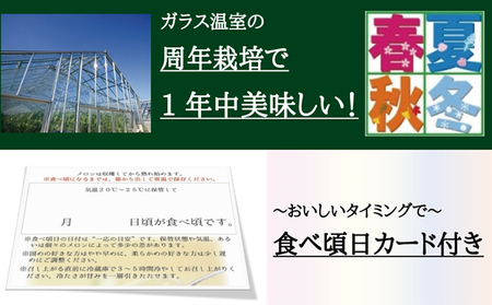 クラウンメロン 定期便 3ヶ月 メロン 1玉 白等級 マスクメロン 果物 フルーツ 旬の果物 旬のフルーツ 青肉 フルーツ定期便 3回 静岡 森町