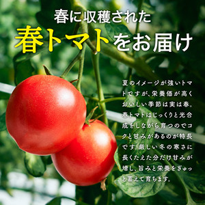 トマト 2kg トマトの一番星 野菜 とまと 完熟 高糖度 甘い 受賞 冷蔵配送