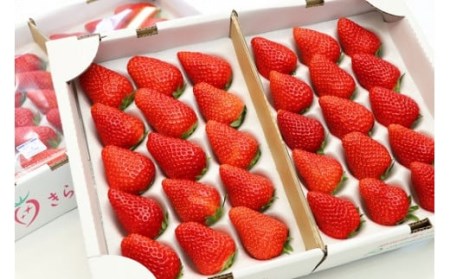 【数量限定】希少いちご！名産地 伊豆のきらぴ香（約400g×2パック）